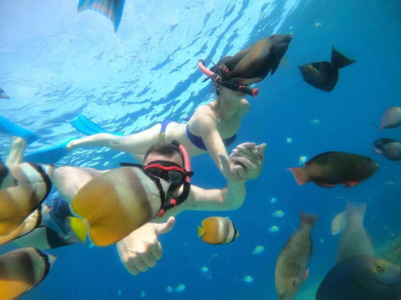 gili-t-small-group-snorkeling-trip