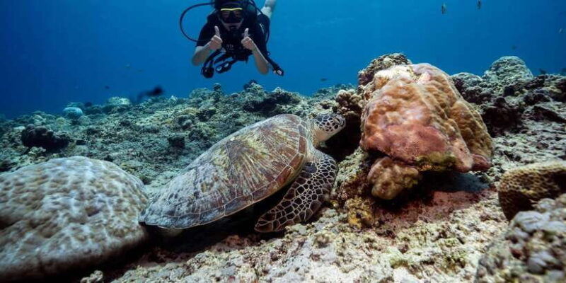 gili-trawangan-discovery-scuba-diving