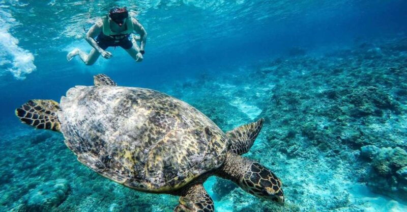 gili-trawangan-islands-hopping-snorkeling-trip