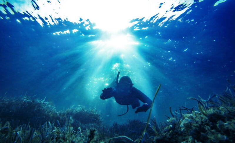 gili-trawangan-spearfishing-with-catch-cook-experience