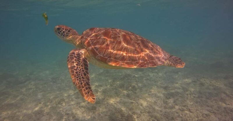 go-pro-snorkling-trip-3-islands