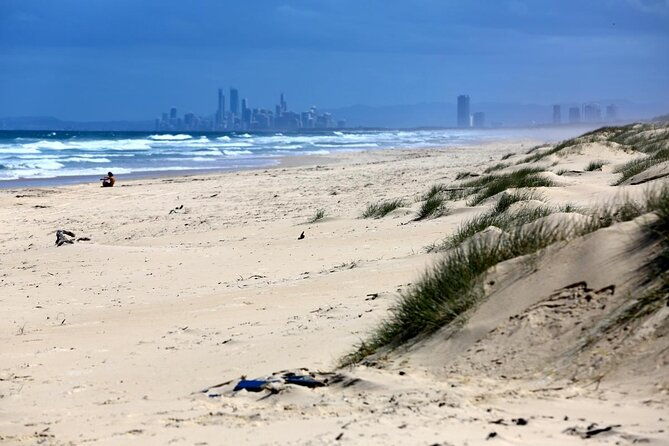 Gold Coast Private Sailing Charter with grazing board & bubbles - Key Points