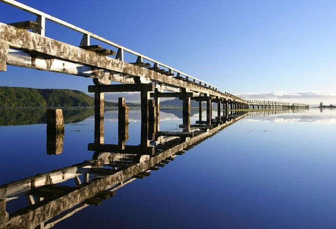 Great Lake Trail Lake Taupo 2-Day Mountain Biking Tour - Introduction