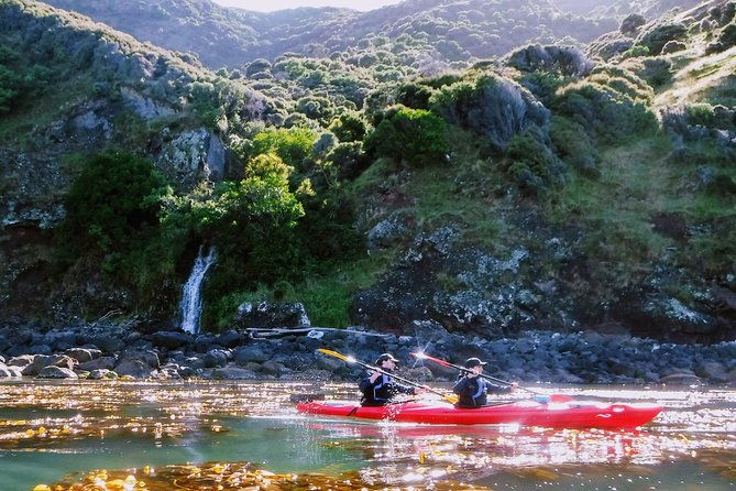 Guided Electric Mountain Bike & Sea Kayak Tour in Akaroa - The Bike Segment: Rise to the Crater’s Summit