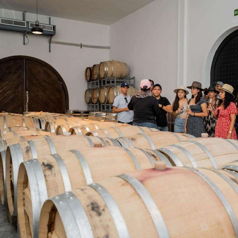 guided-tour-and-tasting-of-4-wines-at-vinedo-dos-buhos