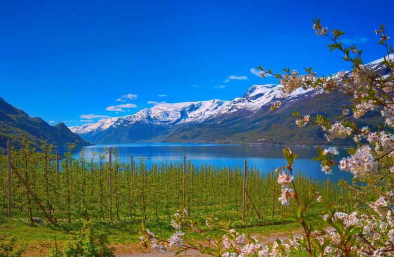 guided-tour-to-hardanger-fjord-waterfalls-ferry-crossing