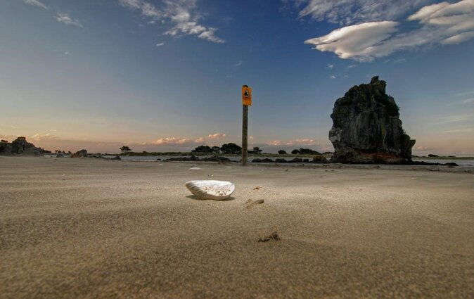 Guided Walking Tour & Scenic Drive - Lyttelton & Godley Head - Discovering Christchurch: A Guided Walk and Scenic Drive to Lyttelton & Godley Head