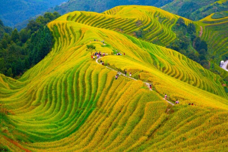 guilin-longji-terraces-private-day-tour