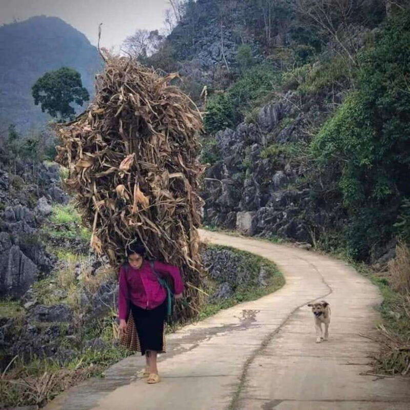 ha-giang-4-day-loop-motorbike-tour-with-accommodation