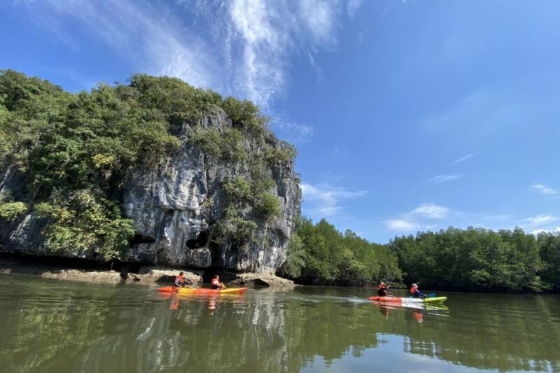 half-day-adventure-kayaking-at-mangrove-forest