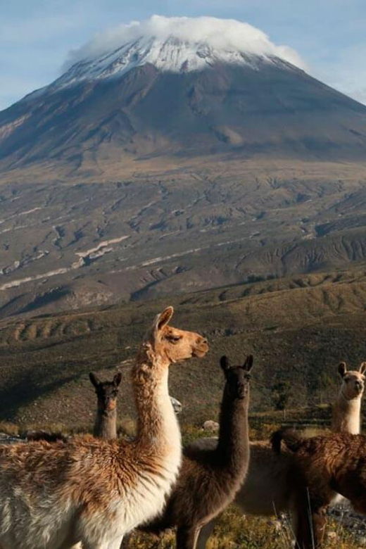 half-day-hike-to-misti-volcano