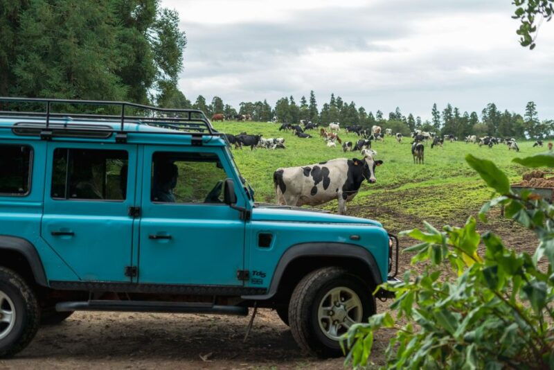 half-day-lagoa-do-fogo-4x4-tour-and-gin-library
