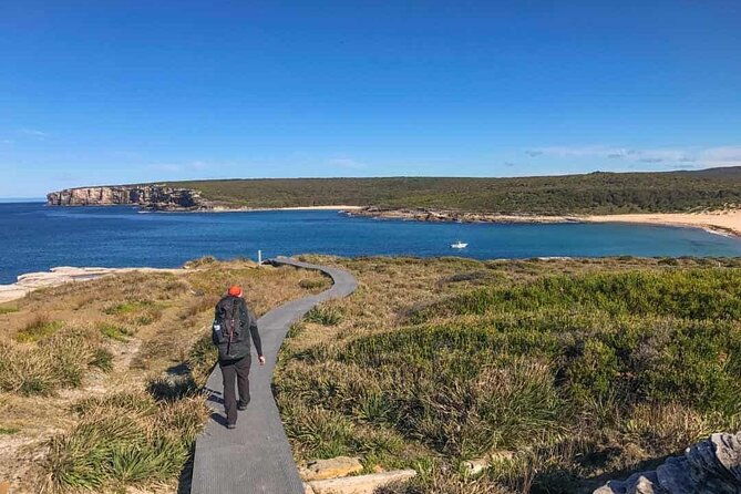 Half-Day or Full-Day Private Guide Hire From Sydney - Key Points