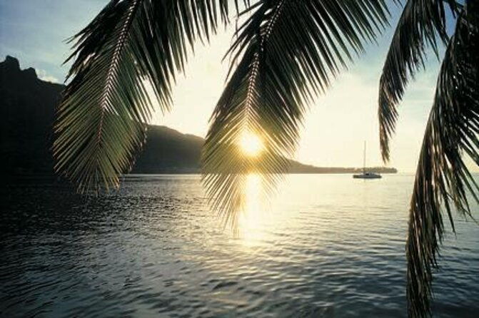 Half Day Private Boat Snorkeling Excursion Moorea - Key Points