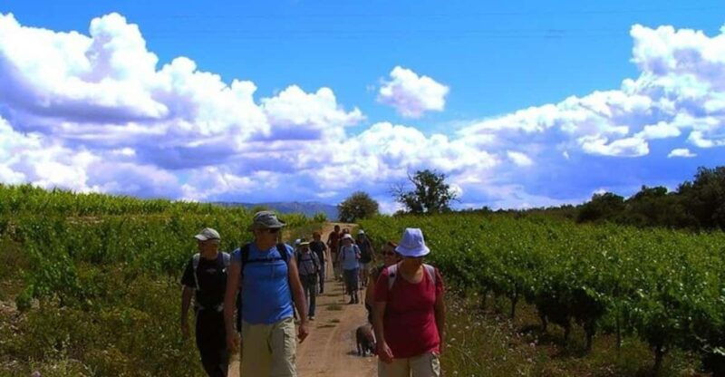 half-day-tour-of-wineries-and-olive-oil-from-mendoza