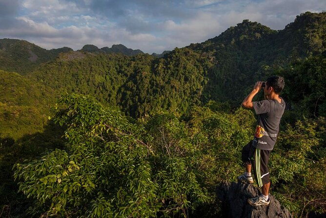 Halfday trekking Cat Ba Butterfly valley (more intense) - Key Points