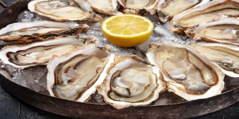 halifax-guided-harbourfront-food-walking-tour
