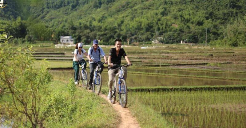 hanoi-full-day-guided-tour-of-hoa-lu-tam-coc-and-mua-cave