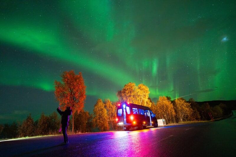 harstad-northern-lights-hunt-on-hinnoya-island