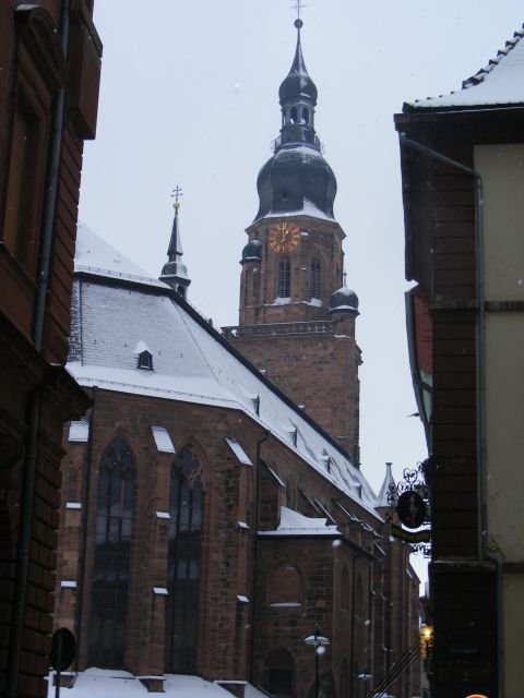 heidelberg-2-hour-crime-tour-with-costumed-guide