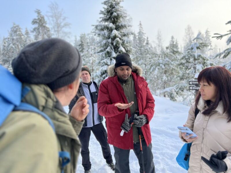 helsinki-winter-wonderland-liesjarvi-national-park-hike