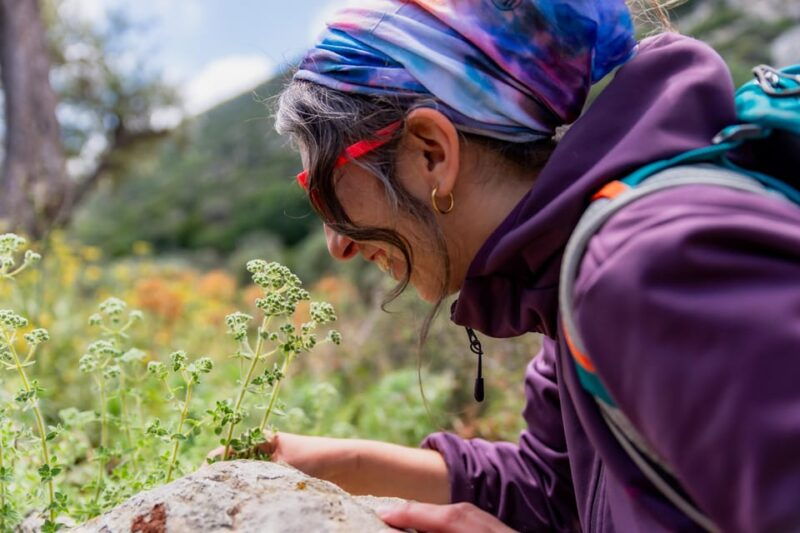 herbalism-and-wildlife-small-group-experience