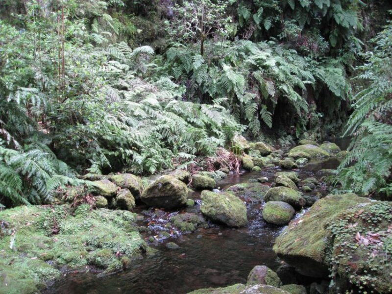 hidden-corners-the-kings-levada-full-day-hike