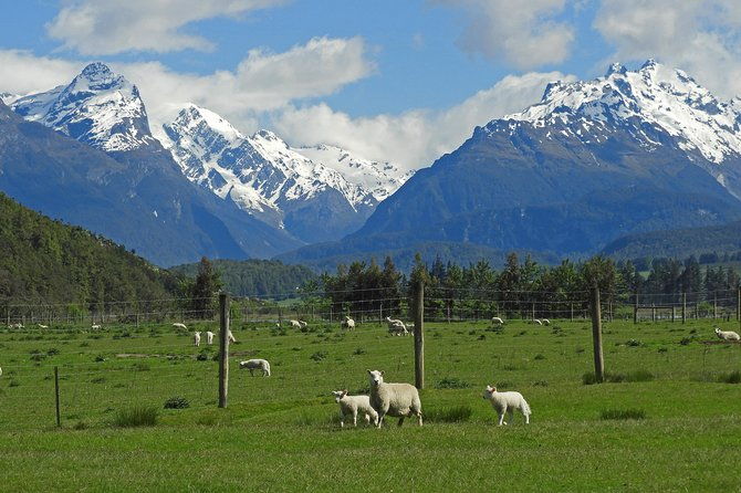 High Country Discovery Tour from Queenstown - Key Points