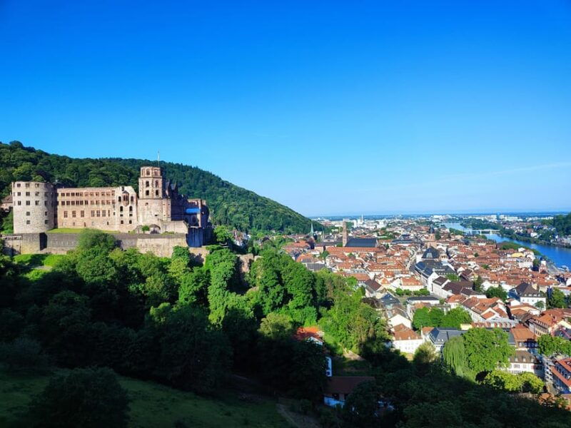 high-lights-of-heidelberg-private-tour-of-castle-and-town