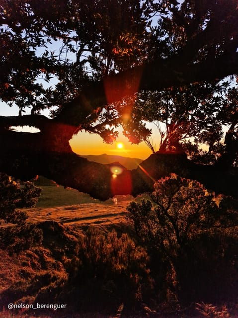 hike-in-fanal-in-a-different-way