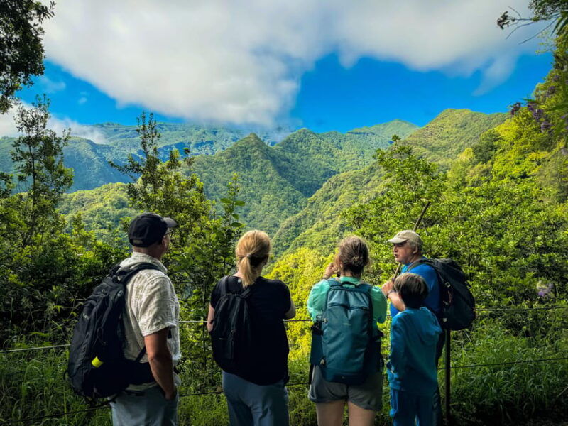 hiking-madeira-levada-do-rei-and-the-majestic-laurissilva