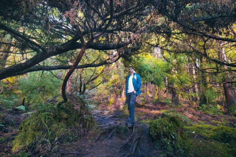 hiking-trails