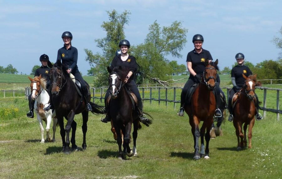 hirschburg-horseback-riding-for-beginners