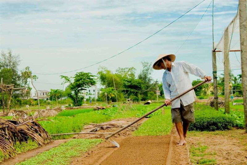 hoian-da-nang-fishing-basket-riding-and-cooking-class