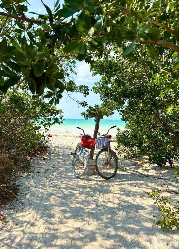 holbox-self-guided-tour-map-bike-sup-coffee-snack-incl