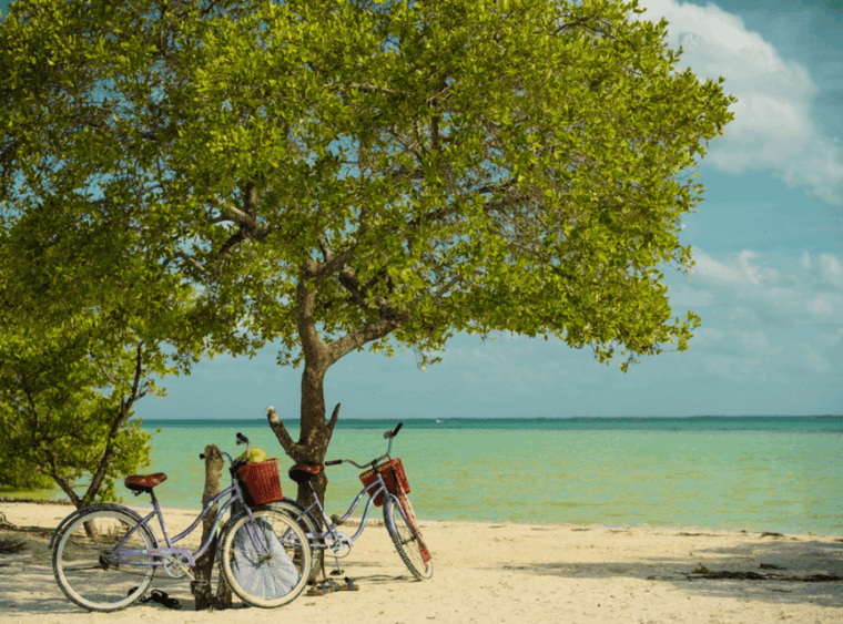 holbox-self-guided-tour-map-bike-sup-coffee-snack-incl