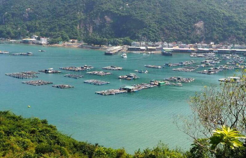 hong-kong-lamma-island-walking-tour-with-lunch