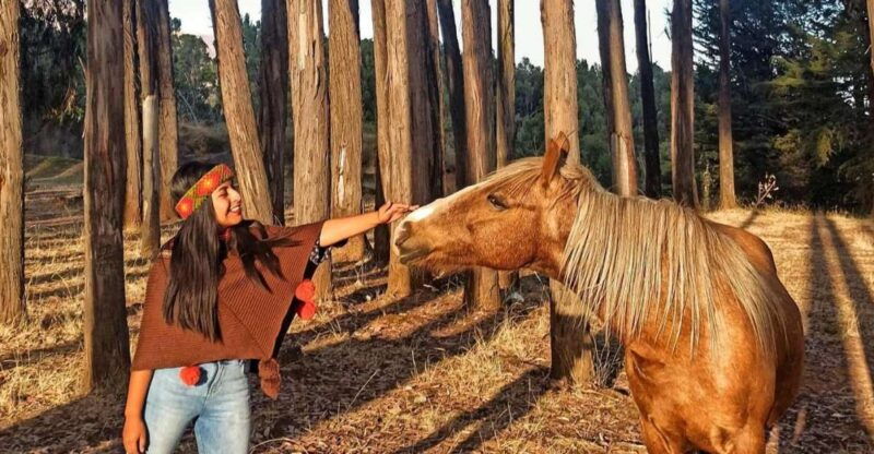 horse-ride-through-sacsayhuaman-qenqo-and-eucalyptus-forest