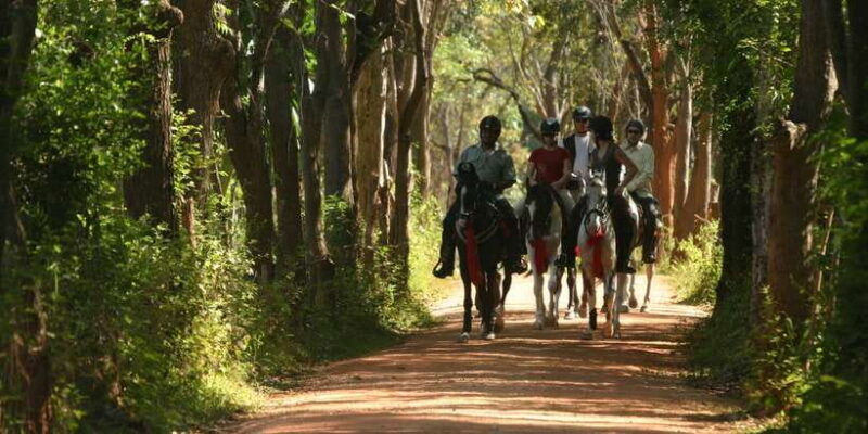 horse-riding-in-nuwara-eliya