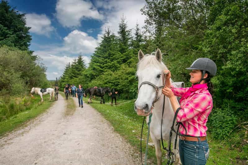 horse-riding-the-dirt-trail-clare-guided-1-hour