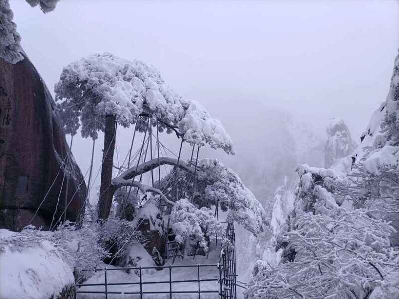 huangshan-mountain-top-day-trip-with-cable-car-and-pickup