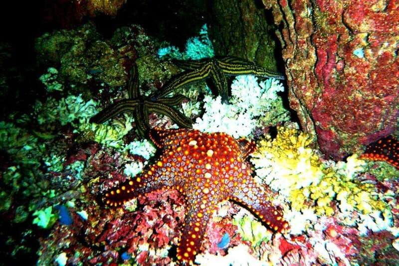 huatulco-premium-family-snorkeling-experience