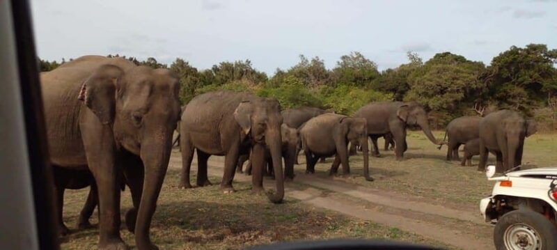hurulu-eco-park-safari