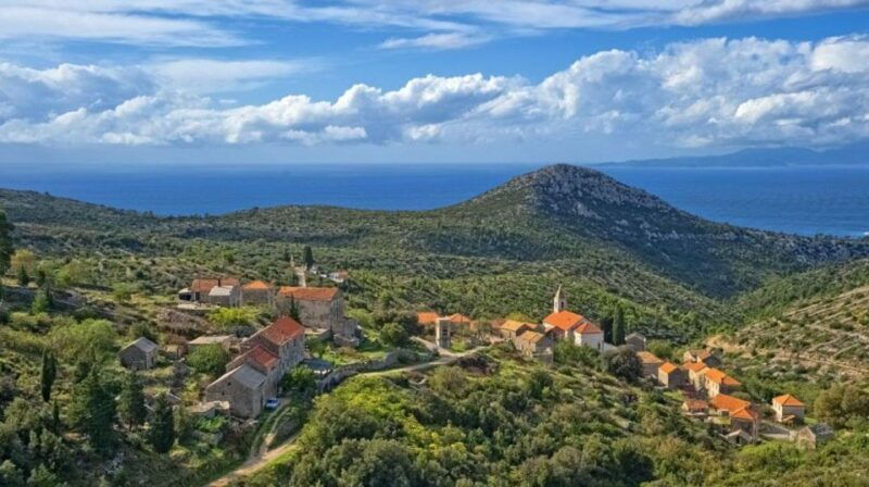 hvar-island-tour-with-wine-and-olive-oil-tasting