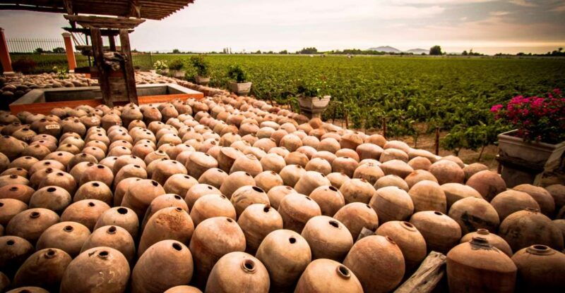 ica-private-city-tour-wine-tasting
