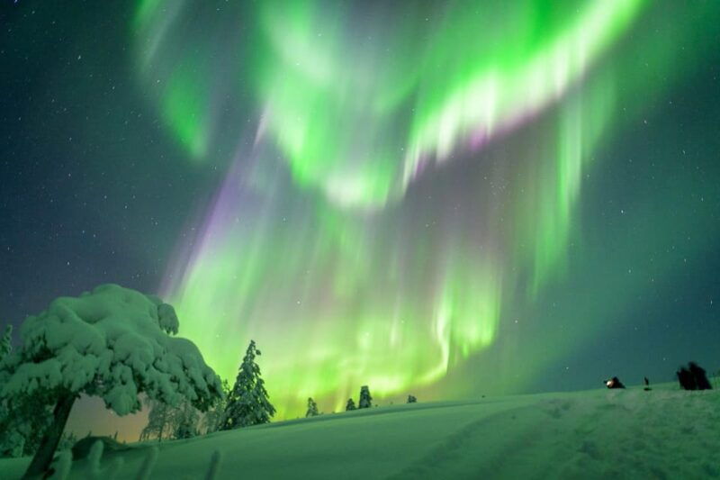 inari-northern-lights-hunt-snowmobile-safari