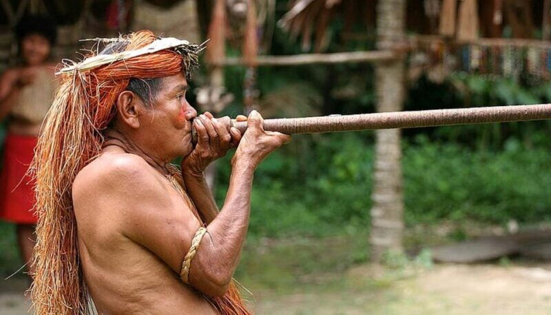 iquitos-2-days-in-the-amazon-natural-wonder-of-the-world-2