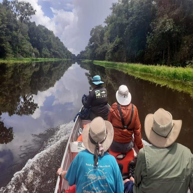 iquitos-3-day-jungle-wildlife-adventure-with-accommodation