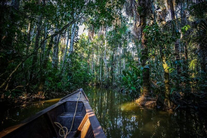 iquitos-amazon-jungle-4d-3n-journey-on-the-rainforest