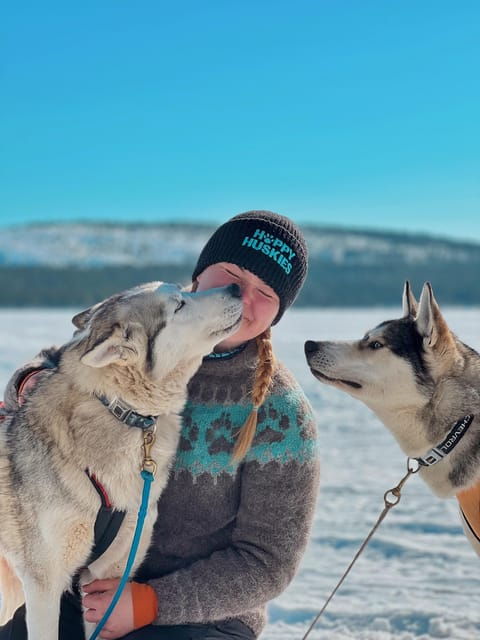 ivalo-responsible-husky-safari-at-happy-huskies